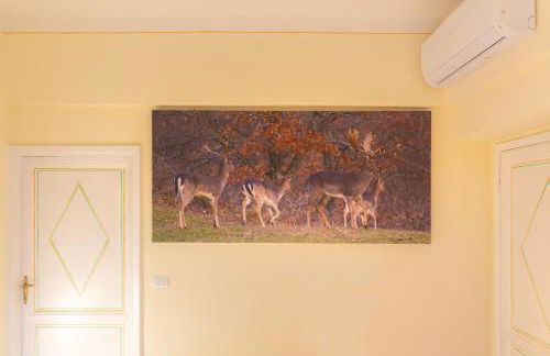 IBibiena - CASA CAPO D'ARNO - Foto 11