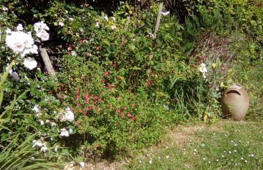 Les Volets Bleus - Foto 30