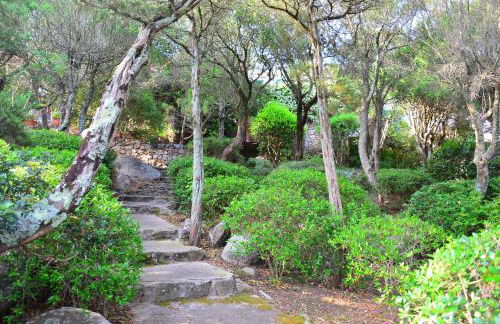 Aironi del Porto - Foto 37