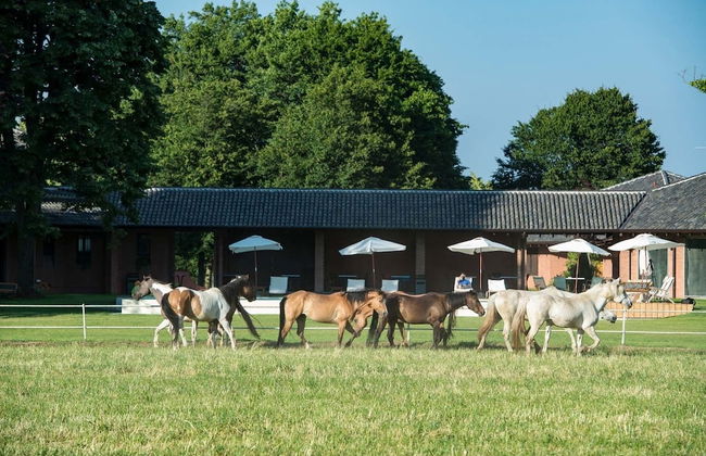 Agriturismo Relais Tenuta il Cigno - Foto 50