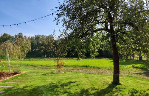 Dębina30 - Naturalnie odpoczniesz - Foto 8