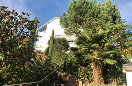 Ferienwohnung Palmenalm - Foto 6