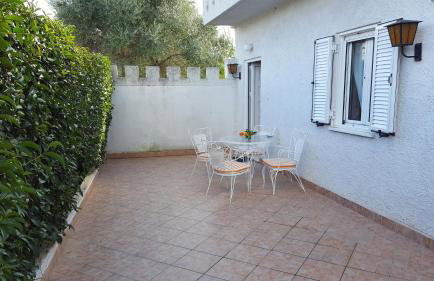 Patras Palm Tree - Foto 58