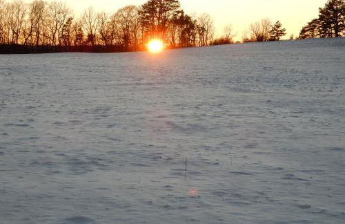 Haus Kellenburg - Foto 6