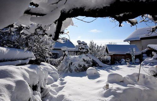 Bantles Parterre Ferienwohnung - Photo 28