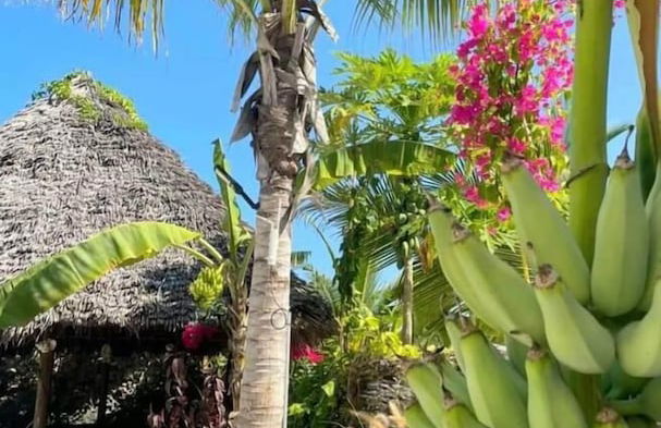 SAND BEACH PALM RESIDENCE - Foto 22