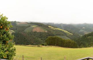 Finca Eiras - Foto 6