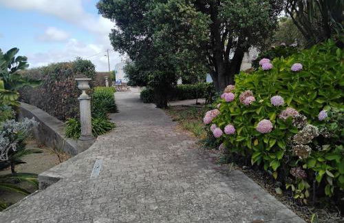 Nice Quinta in the florest of sintra - Photo 6