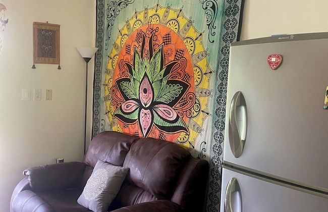 Morning Glory - Foto 26