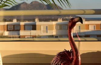 Ático Los Flamingos. Exclusive terrace with views - Foto 35