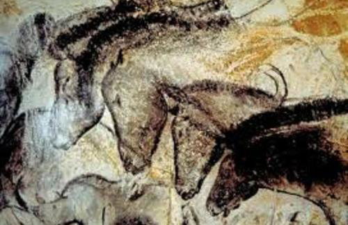 Les pruniers de la cipière - Foto 68