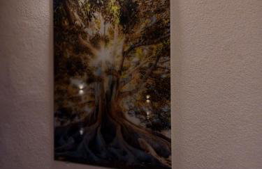 Vila David - Foto 24