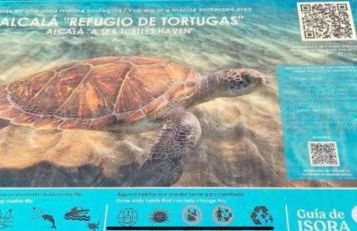 Alcalà Center A 5 minutos del paseo y playas - Photo 49