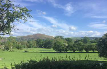 3 Bedroom Bungalow in Llanrhaeadr Ym - Foto 2