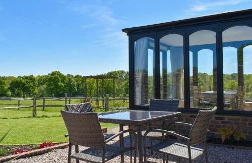 Woodpeckers - Foto 11