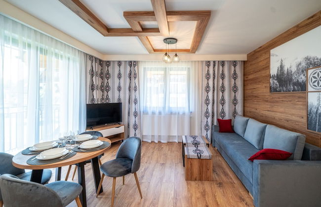 Sun & Snow Resorts C Białka Tatrzańska - Foto 66