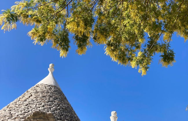 Trulli Mimosa by Pugliadamare - Foto 50
