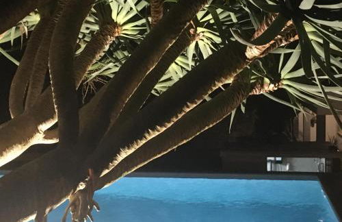 Casa Às Seis - Photo 22