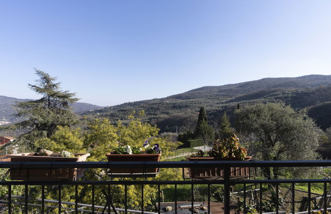 Lory House - Foto 25