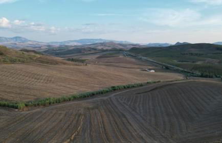 Masseria Baglio Perciata - Foto 72