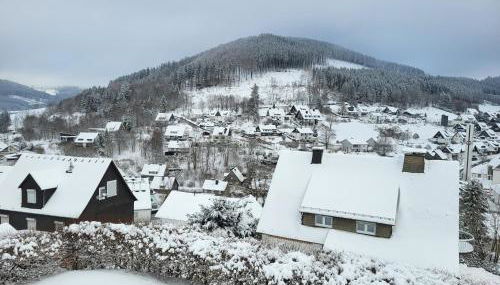 Panoramablick Winterberg - 3 Zimmer - Foto 3