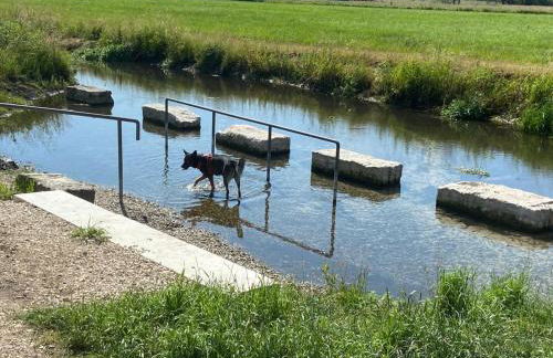 Ferienwohnung im wunderschönen Altmühltal - Foto 19