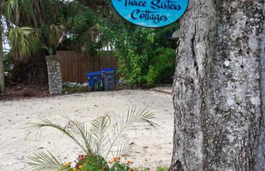 The Three Sisters - Pelican Crystal River FL - Foto 10