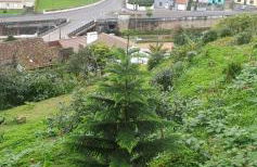 Casa do Monte - Photo 76