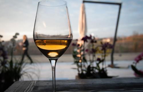 Klanjscek Wine&Stay - Foto 5