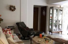 Hortênsiailedefrance - Foto 19