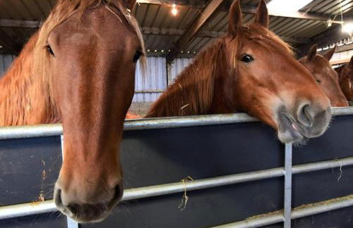 2 Bed in Sowerby Bridge oc-90887 - Foto 18