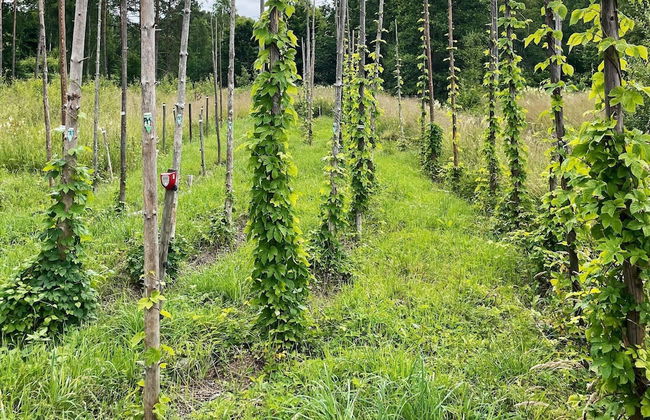 4 Star Holiday Home in Svangsta - Foto 17