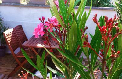 Rosebury Cottage 1 bedroom Free Street parking-5min from Colmar - Photo 28