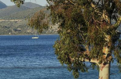 Villa Episkopos Seaside - Photo 46