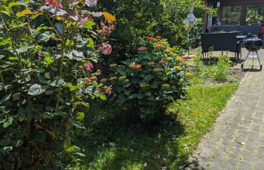 Ferienwohnung Bullersberg - Foto 11