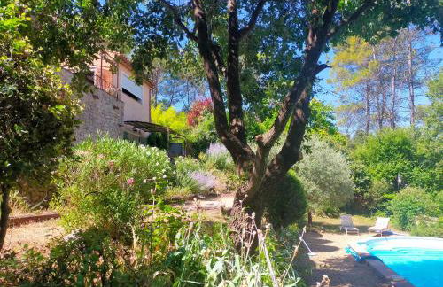 Le Figuier appart 2-3 pers en plein vignoble avec piscine privée à 30mn des gorgesdu Verdon et des plages - Foto 10