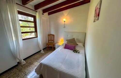 Vinya del mar - Foto 18