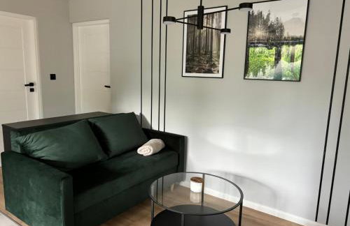 Dach Pod Sową Apartament GS - Foto 21