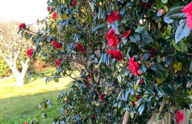 Beautiful Garden Room with Private Entrance - Foto 14