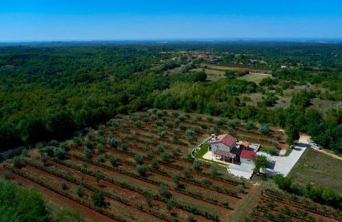 Relax house surrounded by olives and vineyard - Photo 66