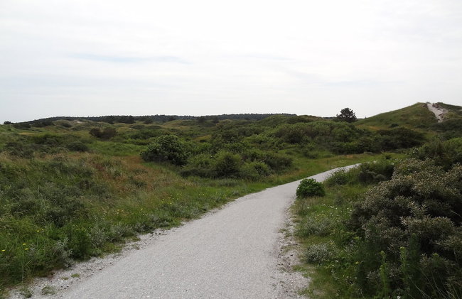 Peaceful Holiday Home - Foto 32
