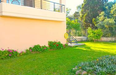 Calma House - Foto 36