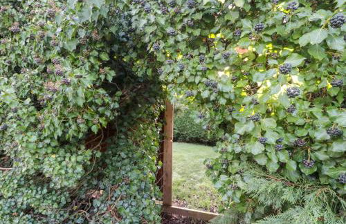 Wellinghill Cottage - Foto 31