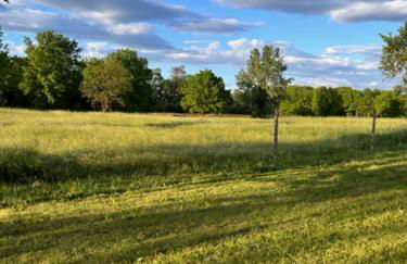 Appartamento Il Picchio Verde - Foto 25