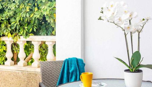 Bungalow Pink Punta Prima - Foto 4