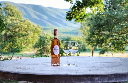 Villa piscine face au grand luberon Cereste - Foto 14