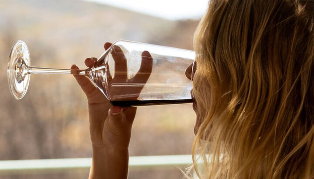 Degustación de vinos en Rodas, dentro de los viñedos con el productor. - Foto 3