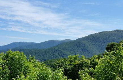 High Ridge cabin in the Blue Ridge Mountains - Foto 23