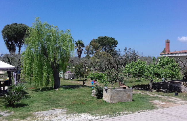 Defabrivillage - Photo 47