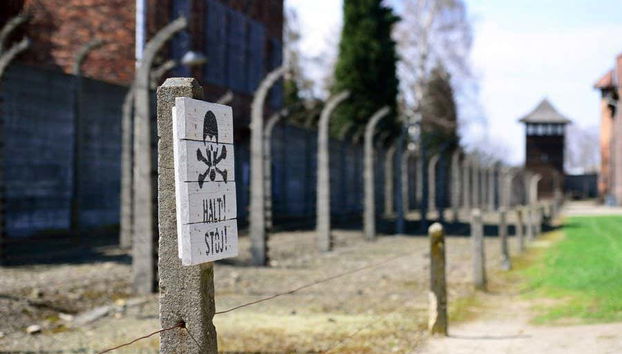 Krakow Combo: Auschwitz and Salt Mine Tour - Foto 4